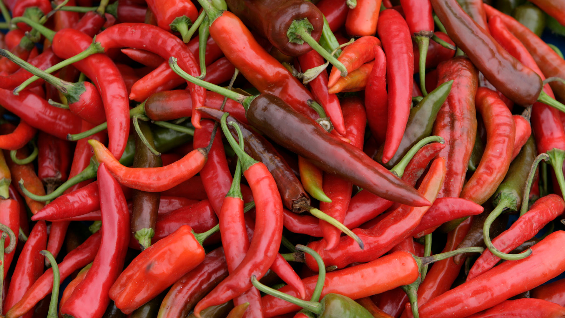 Bhutan-favorite-chilli